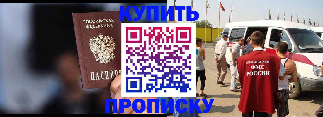 прописка поиск в Невеле